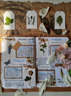 an open book with paper flowers and leaves on the pages, surrounded by other items