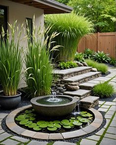 an outdoor garden with water features and plants in the center, surrounded by stone steps