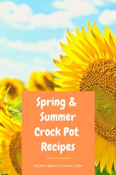 a large sunflower with the words spring and summer crock pot recipes on it