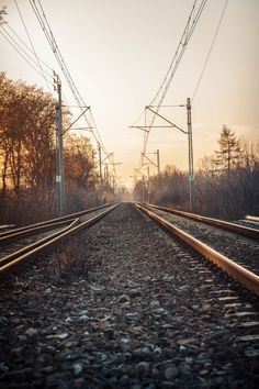 an empty train track with power lines in the distance and trees on both sides at sunset