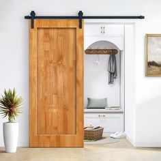 an open wooden door in a white room with a potted plant on the floor