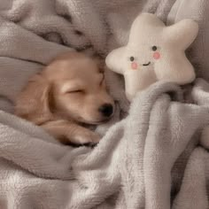 a dog is sleeping under a blanket with a stuffed star