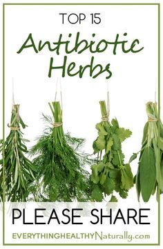 Natural Healing Remedies, Healing Plants, Natural Antibiotics, Herbal Healing, Herbs For Health, Natural Therapy, Healing Herbs, Natural Health Remedies, Natural Home Remedies