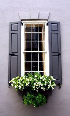 an open window with black shutters and white flowers in the planter below it