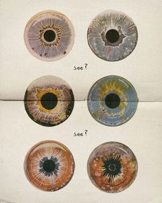 four different types of eyeballs are shown