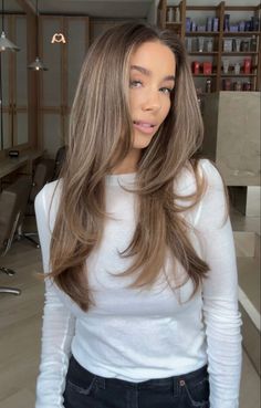 Hair Color Beige Brown, Light Brown Hair With Blonde Dimension, Light Brown Ash Hair Color, Bambi Hair Color, Old Money Hair Brunette, Taupe Blonde Hair, Beige Balayage On Brown Hair, Brown Hair With Cool Tone Highlights, All Over Light Brown Hair