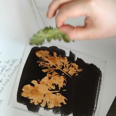 a person is cutting leaves with scissors on a piece of paper that has been cut into smaller pieces