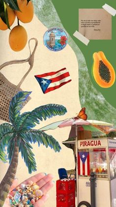 a collage of various items including oranges, palm trees and other things