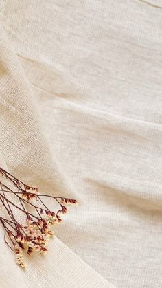 dried flowers are laying on a white linen material, with the fabric partially covering it