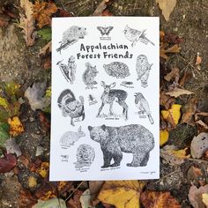 an animal poster is on the ground with leaves and other things around it that include animals