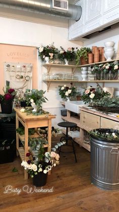 a room filled with lots of potted plants and flowers on the shelves next to each other