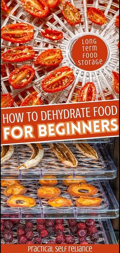 how to dehydraate food for beginners by praci self reliance