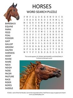 a horse's head is shown in the word search puzzles game, which includes words and pictures