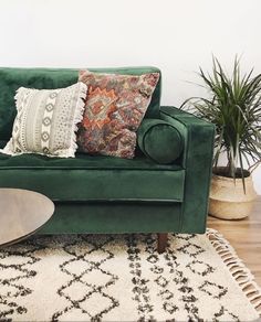 a green couch with pillows on it in front of a rug and potted plants