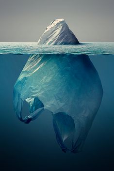 an iceberg floating in the ocean with a plastic bag on it's back