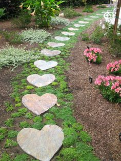 a garden with stepping stones and flowers