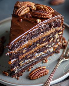 a slice of chocolate cake with pecans on top