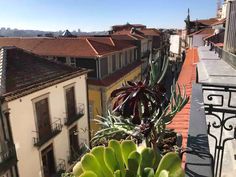 a plant is growing on the ledge of a building in an urban area with buildings and rooftops