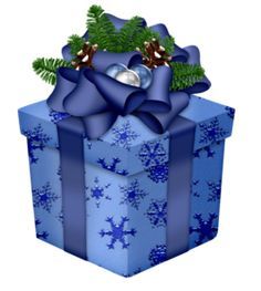 a blue christmas present wrapped in blue ribbon