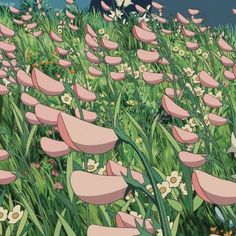 a field full of pink flowers and green grass