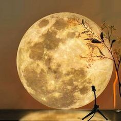 an illuminated full moon sitting on top of a table next to a vase filled with flowers