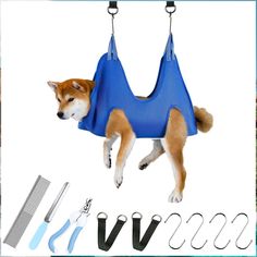 a dog is laying down on a swing