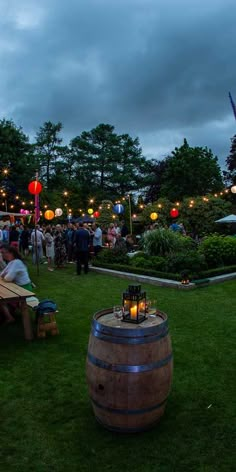 an outdoor event with people sitting and standing in the grass, lit up by lanterns