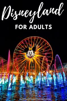 the disneyland park for adults with text overlay that reads, disney land for adults