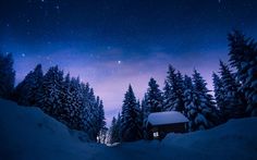 a cabin in the woods under a night sky filled with stars and snow covered trees