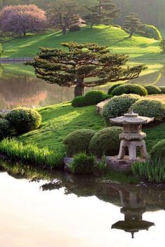 a small pond in the middle of a lush green field with trees and bushes around it