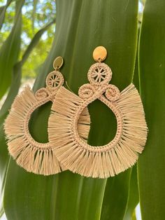 a pair of earrings hanging from a plant