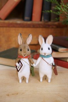 two stuffed rabbits holding hands and standing on a table with books in the back ground