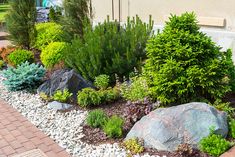 a garden with rocks and plants in the foreground on a brick walkway next to a building