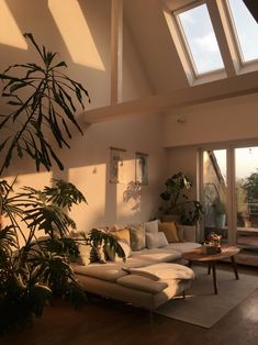 a living room filled with lots of furniture and plants on top of wooden flooring