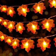 autumn leaves are hanging on a string with lights