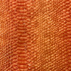 an orange snake skin textured with water drops