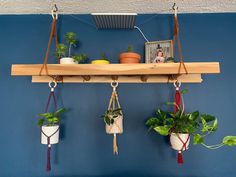 three hanging planters on a wooden shelf above a blue wall with pictures and potted plants