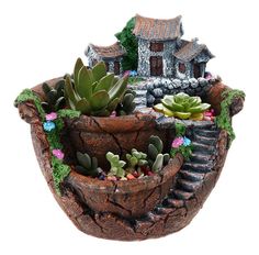 a potted planter with succulents and rocks in front of a house