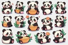 the panda bears are eating out of their bowls and sitting down with flowers on them