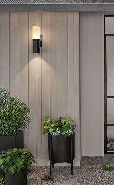 two potted plants sitting next to each other in front of a wall mounted light