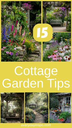 the front cover of cottage garden tips, with pictures of flowers and plants in it