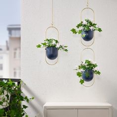 three hanging planters on the side of a white wall with plants in them,