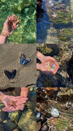 two hands are holding butterflies in the sand and on the water's edge, while another hand is reaching for them