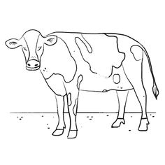 a black and white drawing of a cow standing in the dirt with its head turned to the side