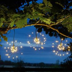 some lights hanging from a tree with leaves and branches in the foreground at night