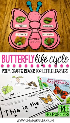 butterfly life cycle craft and printables for kids to use in the classroom or at home