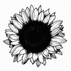 a black and white drawing of a sunflower