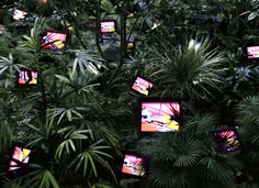 an array of televisions in the middle of trees and plants with lights on them