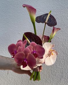 a person's hand holding a bouquet of flowers