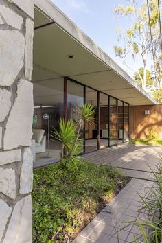 an outdoor area with grass and plants on the ground, next to a stone wall